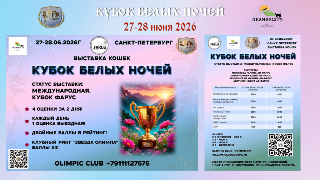 Кубок ФАРУС 27-280626-