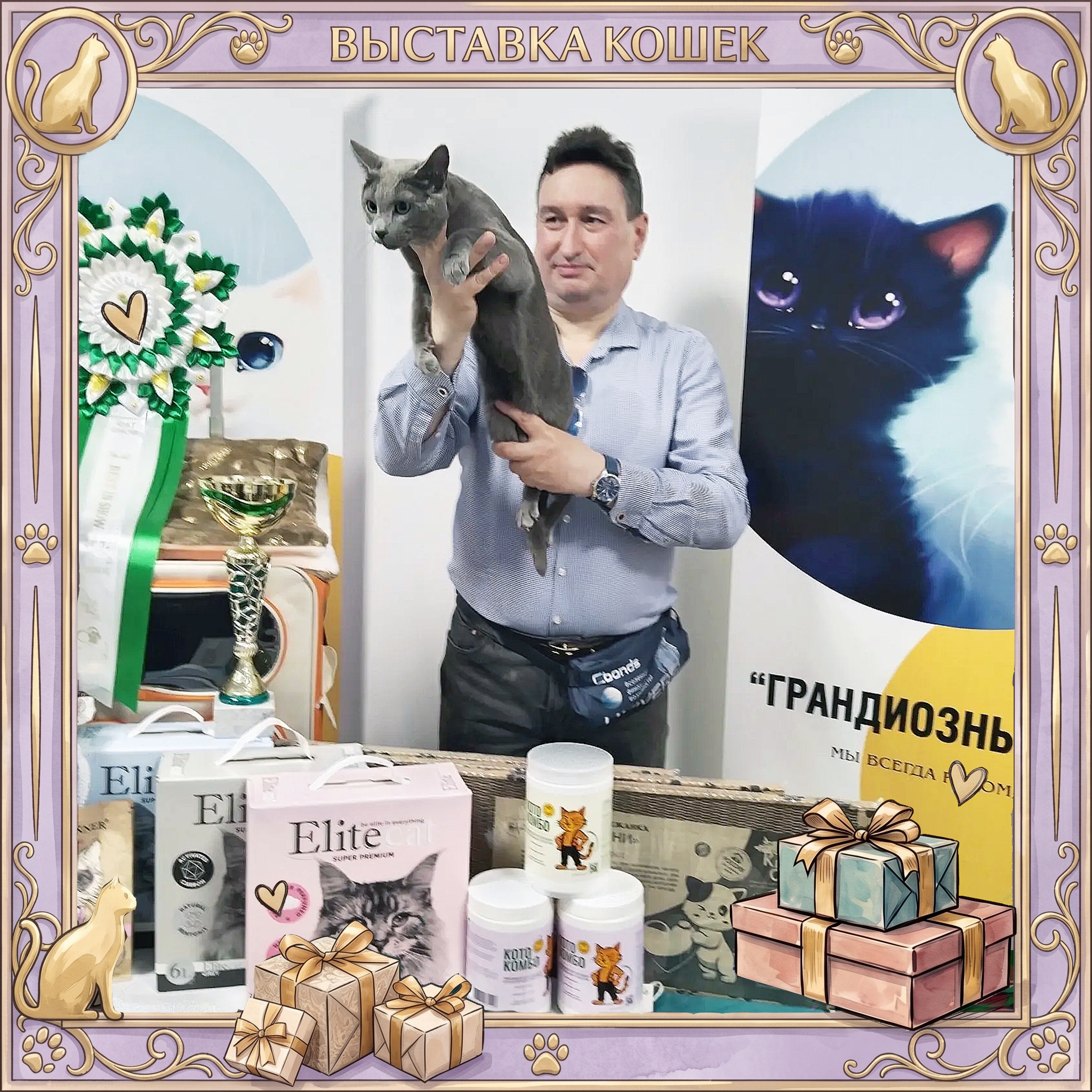 Победители выставки 17.05.2026 Grandicats 15