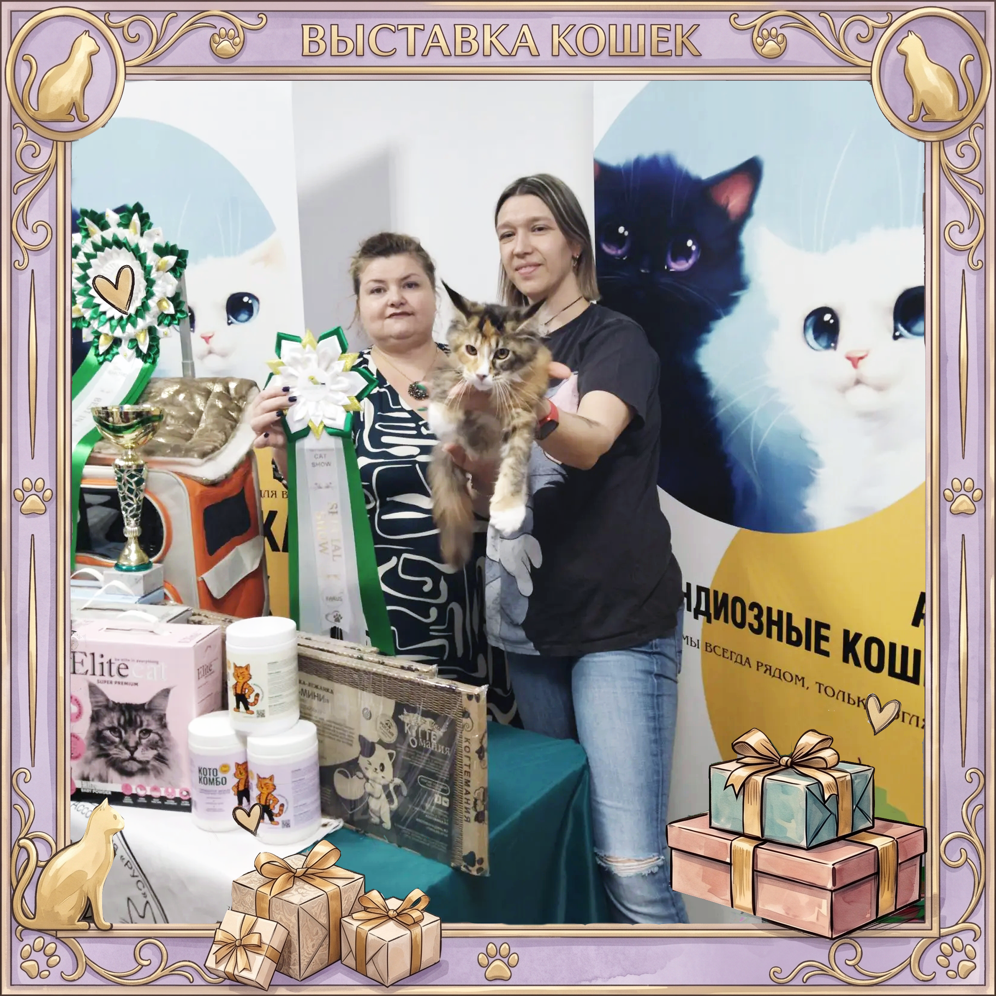Победители выставки 17.05.2026 Grandicats 17