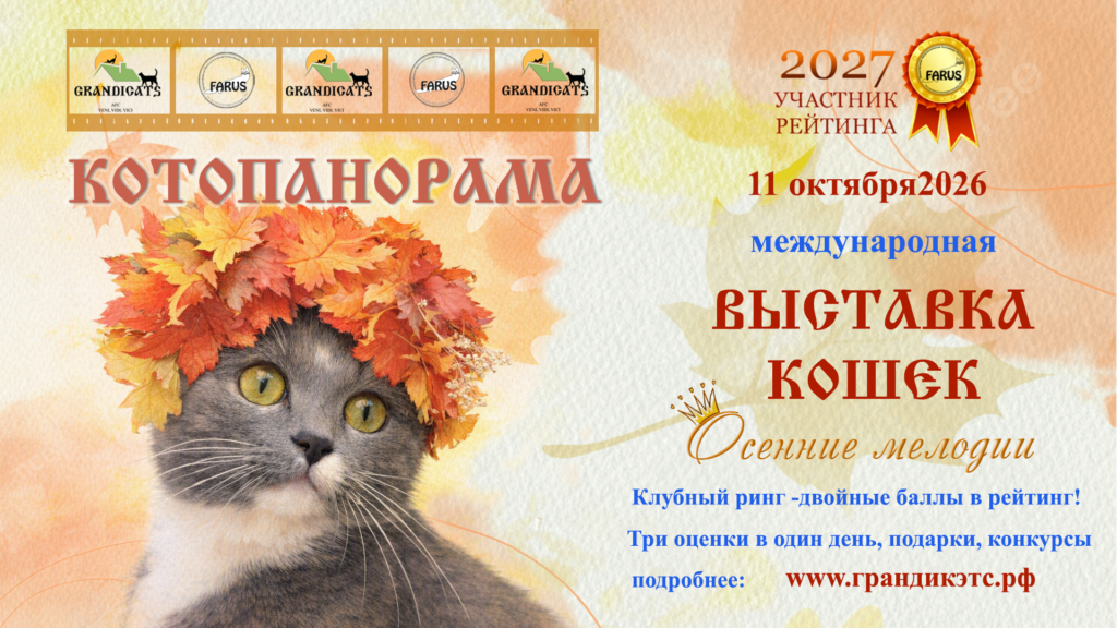 reklama show grandicats111026